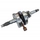 Crankshaft for Tactic 550