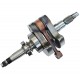 Crankshaft for Tactic 550