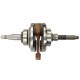 Crankshaft YP250