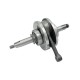 Crankshaft for horizontal BTS 125 engine