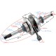 Crankshaft for 50cc 4T scooter (22 teeth for oil pump)