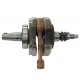 Crankshaft VOGE