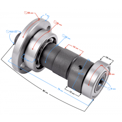 NXT250 camshaft