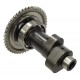 Camshaft for Tactic 550 Camshaft for Tactic 550