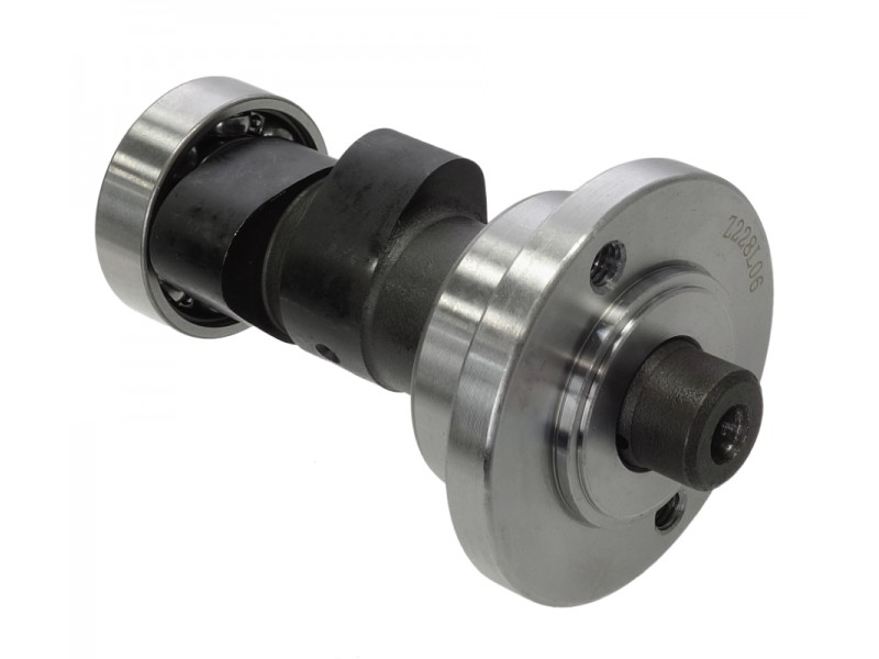 Camshaft DB250 MZK