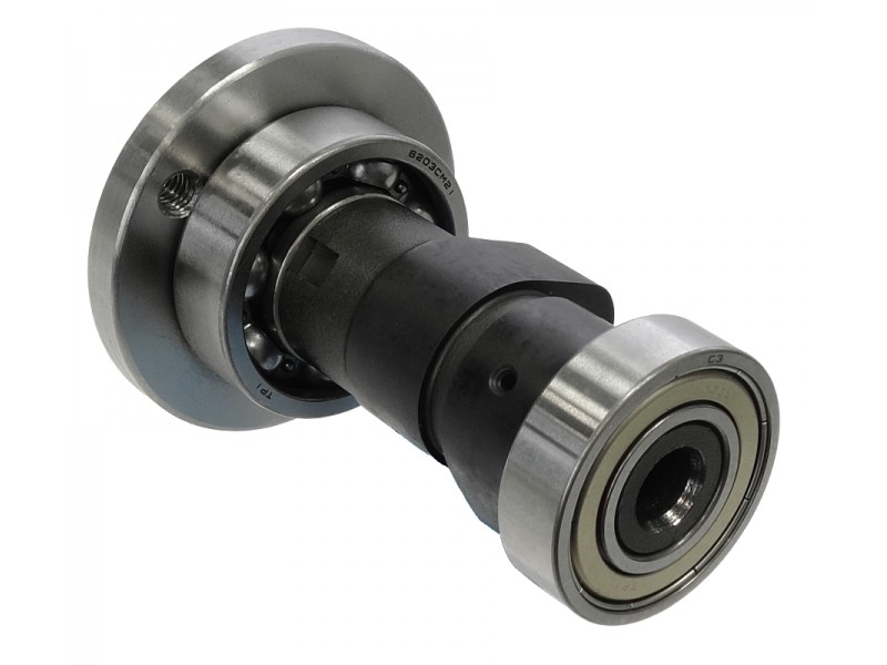 Camshaft DB250 MZK