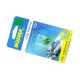Lightbulb BOSMA 12V 1*LED STANDARD T10 GREEN WIDE VIEWING BLISTER