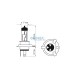 Lightbulb BOSMA 12V 35/35W PX43t HS1