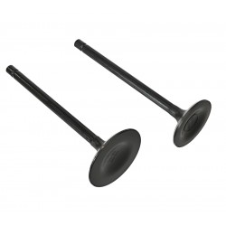 Bashan 250cc valves