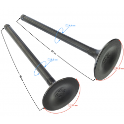 Valves set NXT250 2021 Valves set NXT250 2021