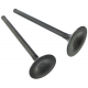 Valves set NXT250 2021