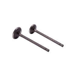 Moretti 150cc motorcycle valves