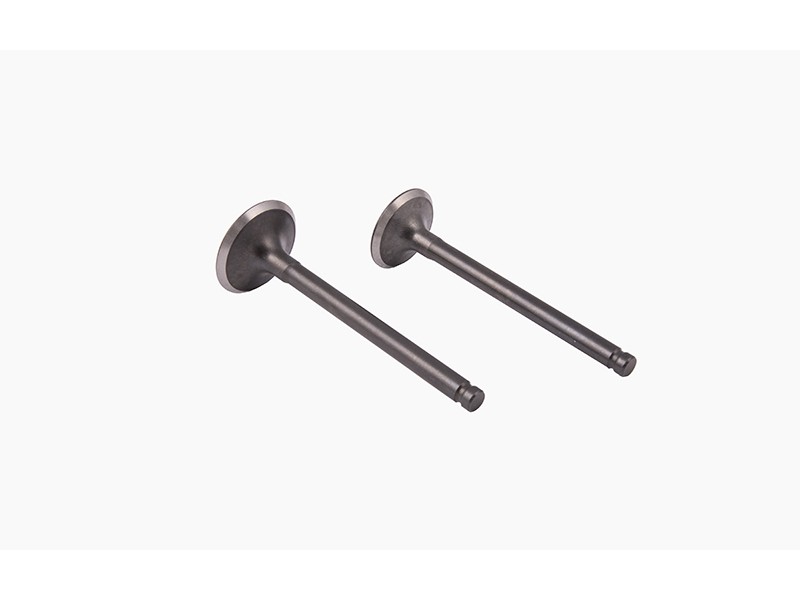 110cc Moretti engine valves