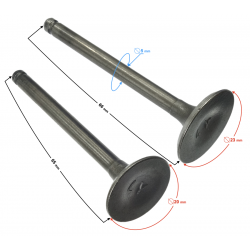 110cc BTS engine valves 110cc BTS engine valves
