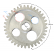 Oil Pump Sprocket NXT250 Base Oil Pump Sprocket NXT250 Base