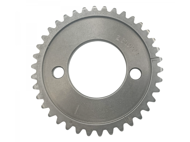 Camshaft sprocket NXT 300