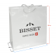 Paper gift bag BISSET