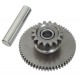 Large intermediate starter sprocket Bashan 200 Large intermediate starter sprocket Bashan 200