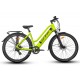 Electric bike Sophia E21B526 (YS7902 17,5) green