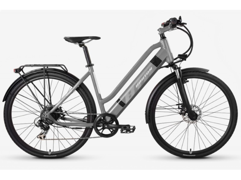 Electric bike Sophia E21B526 (YS941 17,5) gray
