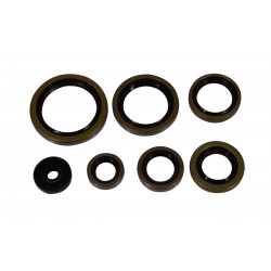Set simeringuri motor KTM EXC 250/300 '17-'26 TPI (P400270400083) Enduro Expert 8023EE