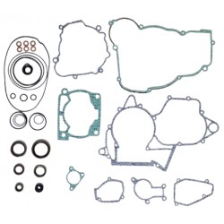 Set complet garnituri motor Beta RR 250/300 Xtrainer '13-'23 (include si simeringuri) Enduro Expert EE-BETA31