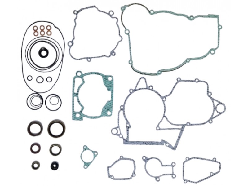 Set complet garnituri motor Beta RR 250/300 Xtrainer '13-'23 (include si simeringuri) Enduro Expert EE-BETA31