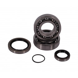 Kit rulmenti ambielaj Beta RR 250/300 '13-'23 (inlocuieste 226773EE) Enduro Expert EE-1060