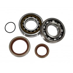 Kit rulmenti ambielaj Beta RR 250/300 '13-'26 -upgrade kit- Enduro Expert EE-1059