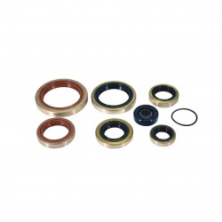 Set simeringuri motor KTM EXC 250/300 '17-'26 TPI/TBI Husqvarna/ Gas Gas (inlocuieste 8023EE) Enduro Expert EE-1065