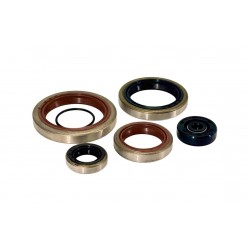 Set simeringuri motor Beta RR 250/300 2T '18-'26/ Xtrainer '15-'26 Enduro Expert EE-1072