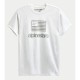 Tricou ALPINESTARS FLAG