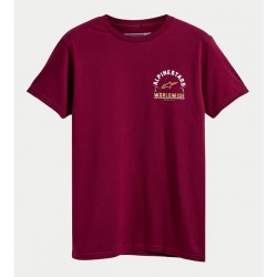 Tricou ALPINESTARS WEELEE Tricou ALPINESTARS WEELEE