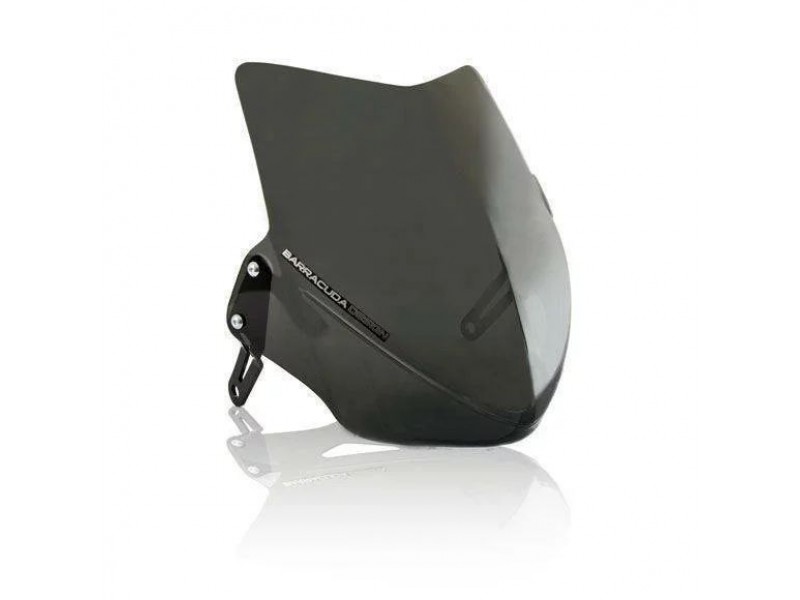 Parbriz Aerosport BARRACUDA HONDA HORNET 600 (2007-2010) Parbriz Aerosport BARRACUDA HONDA HORNET 600 (2007-2010)