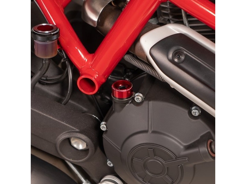 Surub pentru ulei Ø28 SUZUKI - BARRACUDA