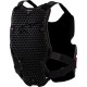 Armura piept si spate ALPINESTARS BIONIC ACTION V2