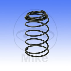 Spring for oil screen JMT Spring for oil screen JMT