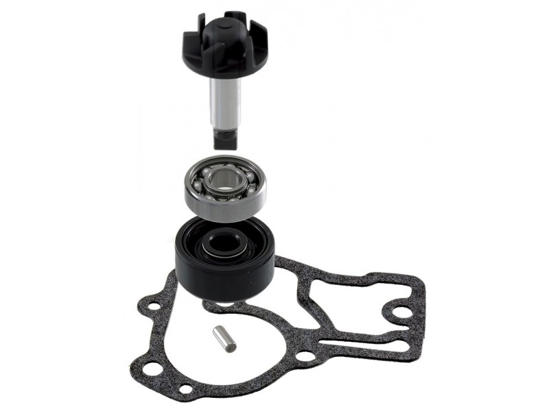 Set pompa de apa RMS 100110560 Set pompa de apa RMS 100110560