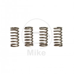 Kit arcuri ambreiaj EBC CSK105 4