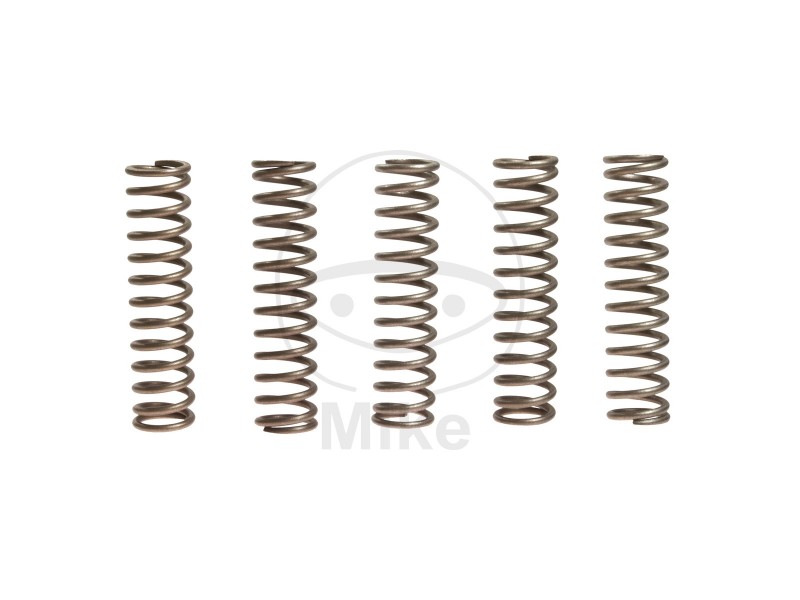 Kit arcuri ambreiaj EBC CSK110 5
