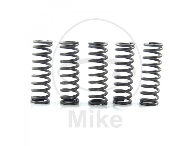 Kit arcuri ambreiaj EBC CSK124 5