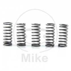 Kit arcuri ambreiaj EBC CSK206 5 Kit arcuri ambreiaj EBC CSK206 5