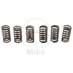 Kit arcuri ambreiaj EBC CSK099 6 Kit arcuri ambreiaj EBC CSK099 6