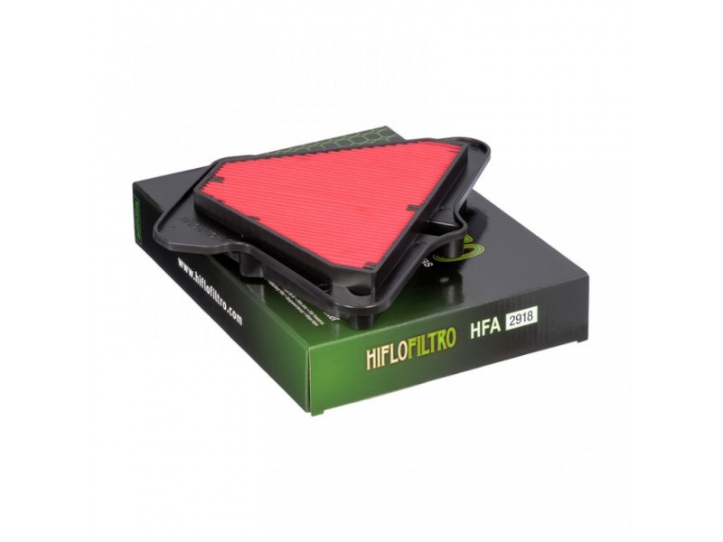 Filtru de aer HIFLOFILTRO HFA2918