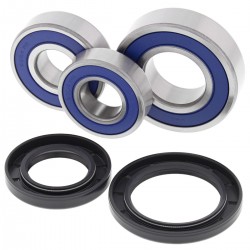 Wheel Bearing Kit All Balls Racing WB25-1703 Wheel Bearing Kit All Balls Racing WB25-1703