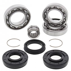 Kit rulmenti si garnituri diferential All Balls Racing DB25-2046 Kit rulmenti si garnituri diferential All Balls Racing DB25-2046