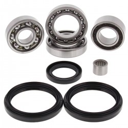 Kit rulmenti si garnituri diferential All Balls Racing DB25-2049 Kit rulmenti si garnituri diferential All Balls Racing DB25-2049