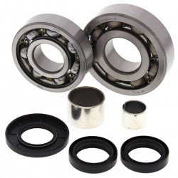 Kit rulmenti si garnituri diferential All Balls Racing DB25-2053 Kit rulmenti si garnituri diferential All Balls Racing DB25-2053
