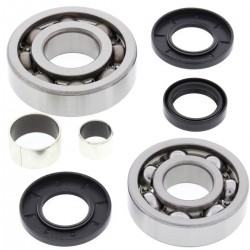 Kit rulmenti si garnituri diferential All Balls Racing DB25-2054 Kit rulmenti si garnituri diferential All Balls Racing DB25-2054