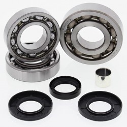 Kit rulmenti si garnituri diferential All Balls Racing DB25-2058 Kit rulmenti si garnituri diferential All Balls Racing DB25-2058
